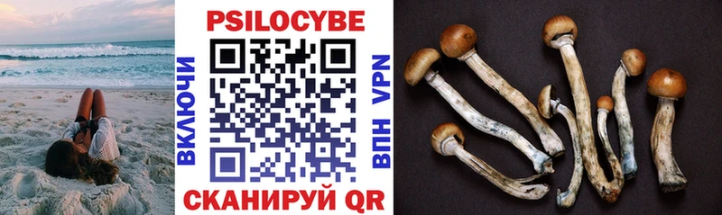 Галлюциногенные грибы GOLDEN TEACHER  Купить  Мосальск 
