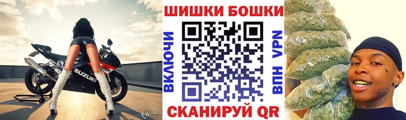 Купить закладки  Мосальск  Бошки марихуана сатива 